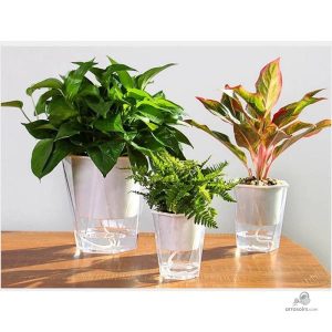 Pot d'arrosage automatique avec réservoir d'eau
