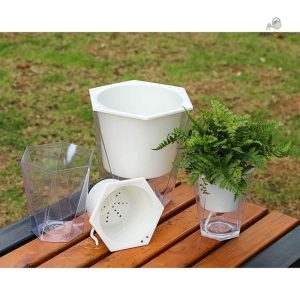 Pot d'arrosage avec système d'auto-irrigation