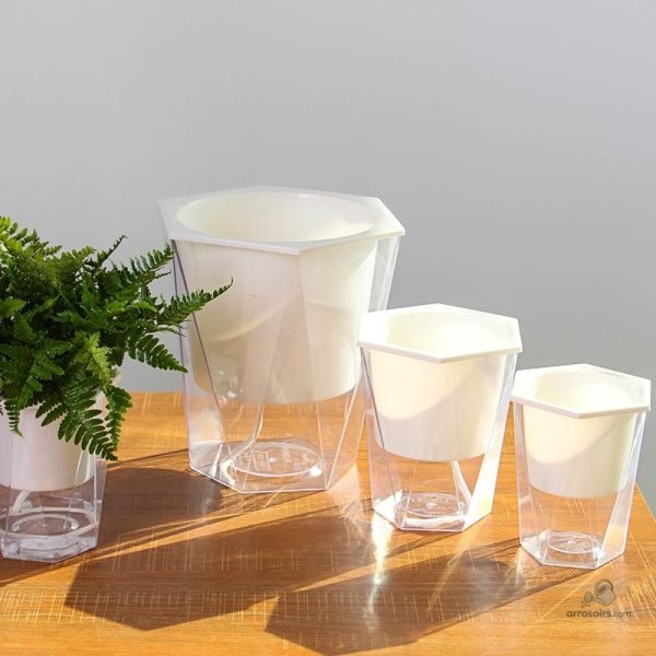 Pot d'arrosage pratique avec réserve d'eau