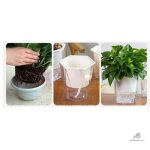 Système d'arrosage automatique pour plantes d'intérieur