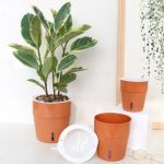 Système d'irrigation intelligent pour un jardinage efficace