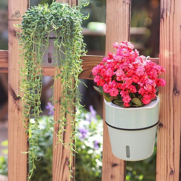 Arrosage intelligent pour un développement sain des plantes