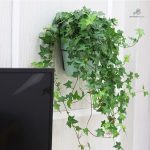 Système d'arrosage automatique pour un jardinage simplifié