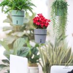 Arrosage automatique pour plantes d'intérieur et d'extérieur