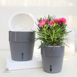 Pot d'arrosage innovant pour un soin optimal des plantes