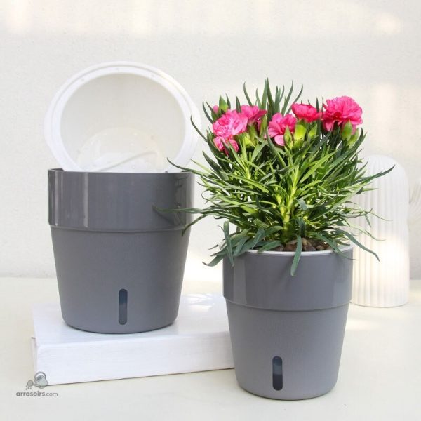 Pot d'arrosage innovant pour un soin optimal des plantes