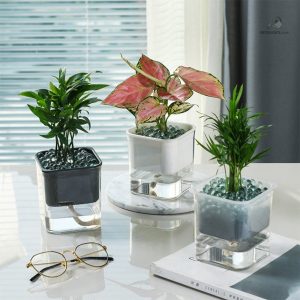 Pot autonome pour arrosage automatique des plantes