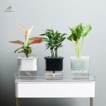 Contenant de plantes avec gestion autonome de l'eau