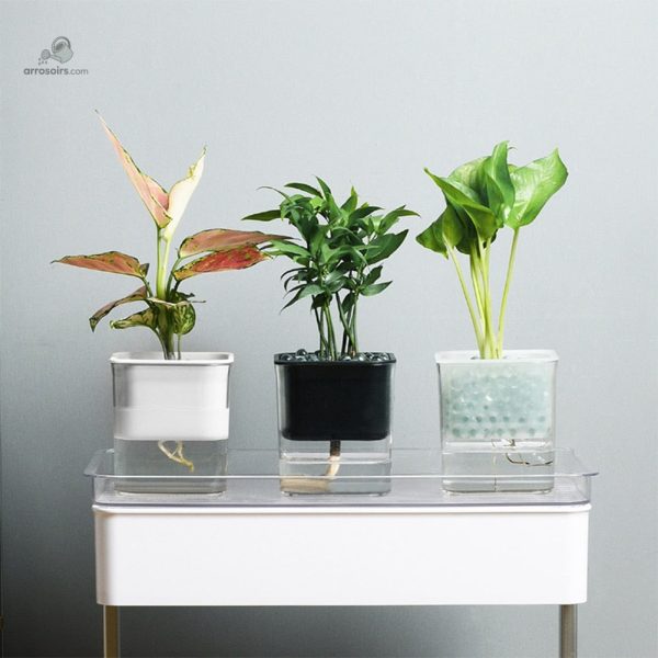 Contenant de plantes avec gestion autonome de l'eau
