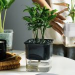 Conteneur de fleurs avec système d'auto-arrosage