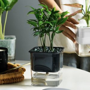 Conteneur de fleurs avec système d'auto-arrosage
