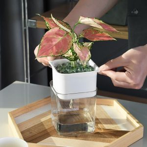 Pot d'intérieur avec réservoir d'eau intégré
