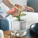 Vase intelligent pour un arrosage sans effort