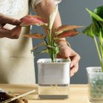 Pot d'arrosage automatique pour plantes d'intérieur