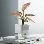 Système d'arrosage automatique pour pots de fleurs