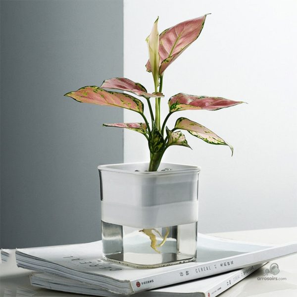 Système d'arrosage automatique pour pots de fleurs