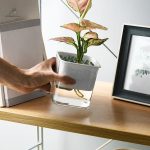 Pot pratique avec fonction d'arrosage automatique
