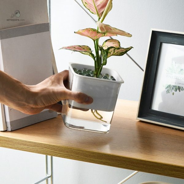 Pot pratique avec fonction d'arrosage automatique