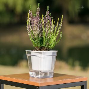 Pot avec arrosage automatique pour plantes d'intérieur