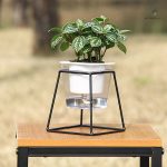 Accessoire de jardinage : pot avec arrosage efficace
