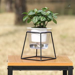 Accessoire de jardinage : pot avec arrosage efficace