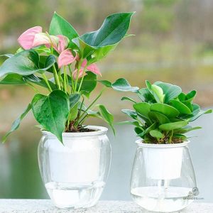 Pot de Fleur auto arrosant pour un entretien facile des plantes