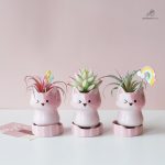 Cache-pot coloré pour un intérieur joyeux