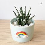 Cache-pot contemporain pour plantes vivantes