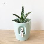 Cache-pot pratique pour l'entretien des plantes