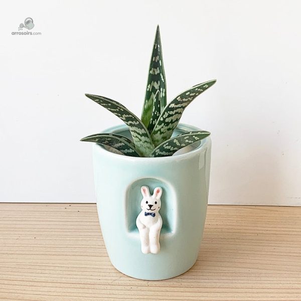 Cache-pot pratique pour l'entretien des plantes