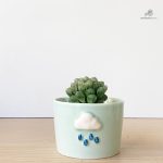 Cache-pot coloré pour plantes d'intérieur