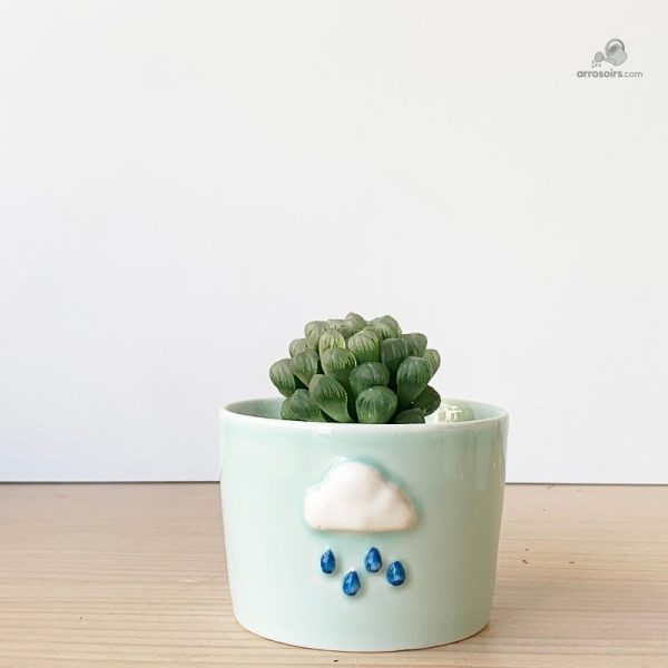 Cache-pot coloré pour plantes d'intérieur