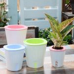 Pot Hydroponique Non Circulant pour arrosage automatique