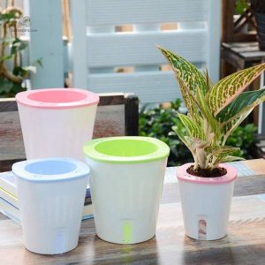 Pot Hydroponique Non Circulant pour arrosage automatique
