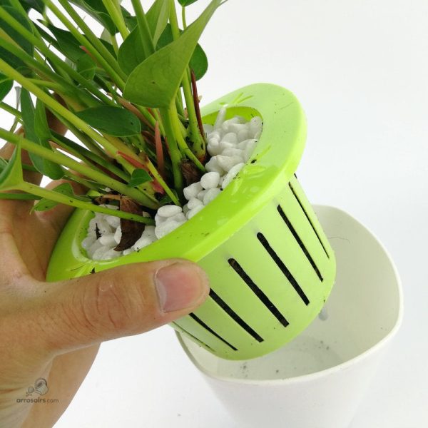 Solution hydroponique non circulante pour plantes d'intérieur