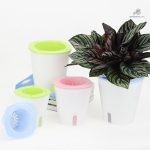 Hydroponie simplifiée avec pot non circulant
