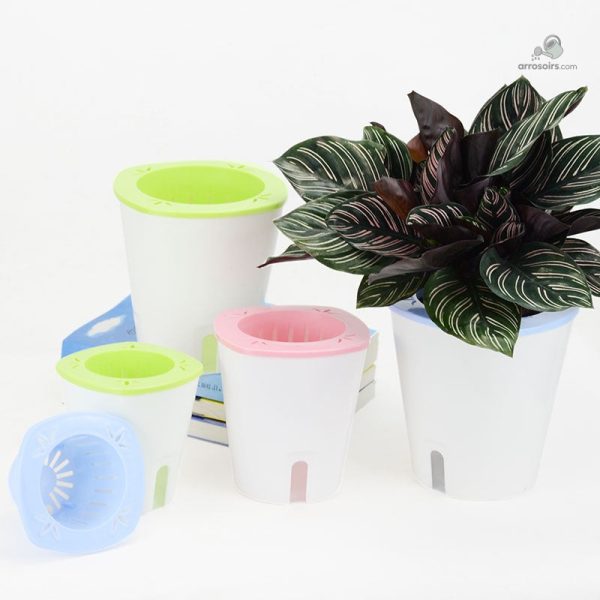 Hydroponie simplifiée avec pot non circulant