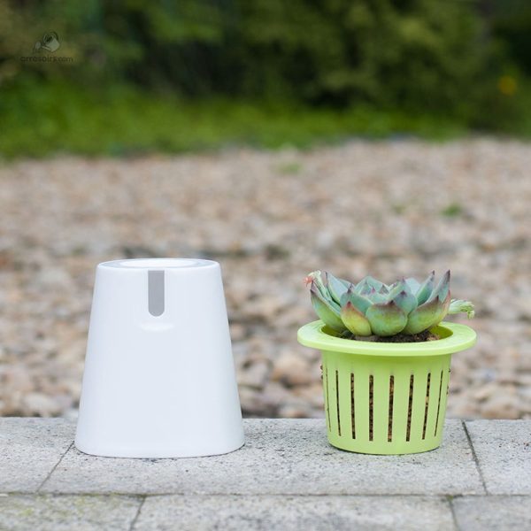 Pot non circulant, idéal pour les jardins d'intérieur