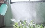 Vaporisateur haute pression, pulvérisation efficace des plantes
