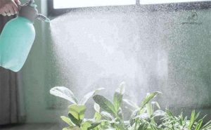 Vaporisateur haute pression, pulvérisation efficace des plantes