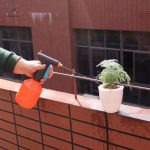 Vaporisateur ajustable 680 ml, parfait pour l'entretien des plantes
