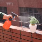 Pulvérisateur de jardin 680 ml, idéal pour les soins des végétaux