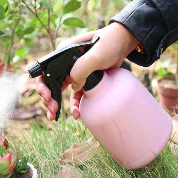 Vaporisateur esthétique pour soins des plantes d'intérieur
