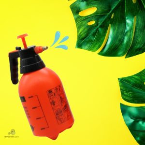 Pulvérisateur Haute Pression pour un arrosage efficace