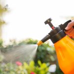 Pulvérisateur à main pour l'entretien des plantes