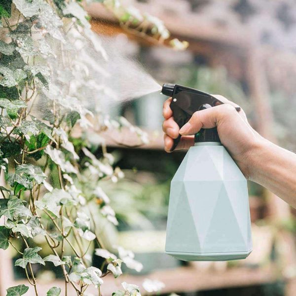 Vaporisateur esthétique 600ml pour arroser les plantes d'intérieur