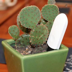 Testeur d'humidité pour plantes compact et pratique
