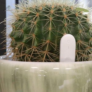 Outil d'humidité pour surveiller la santé des plantes