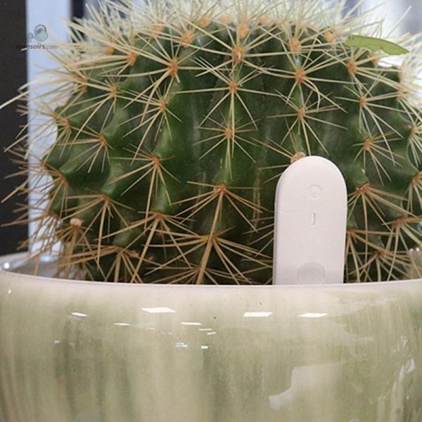 Outil d'humidité pour surveiller la santé des plantes
