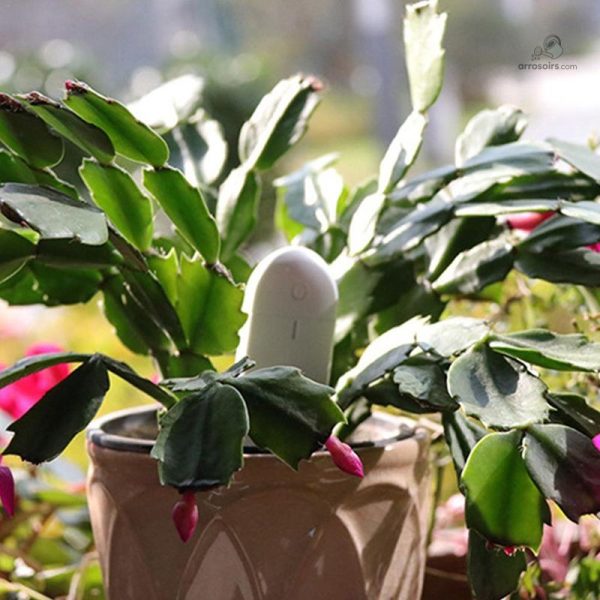 Testeur d'humidité pour un arrosage optimal des plantes